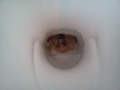 Comment enlever le dépôt marron au fond des toilettes ?