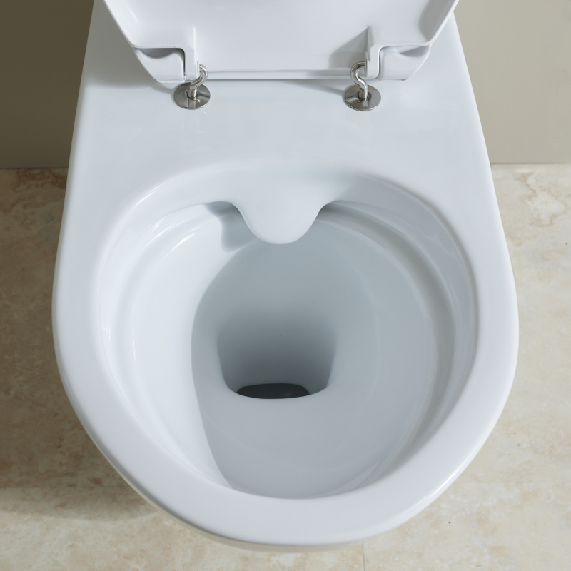 WC pour personne agée sans bride 